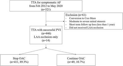 Long-Term Efficacy and Anticoagulation Strategy of Left Atrial Appendage Occlusion During Total Thoracoscopic Ablation of Atrial Fibrillation to Prevent Ischemic Stroke